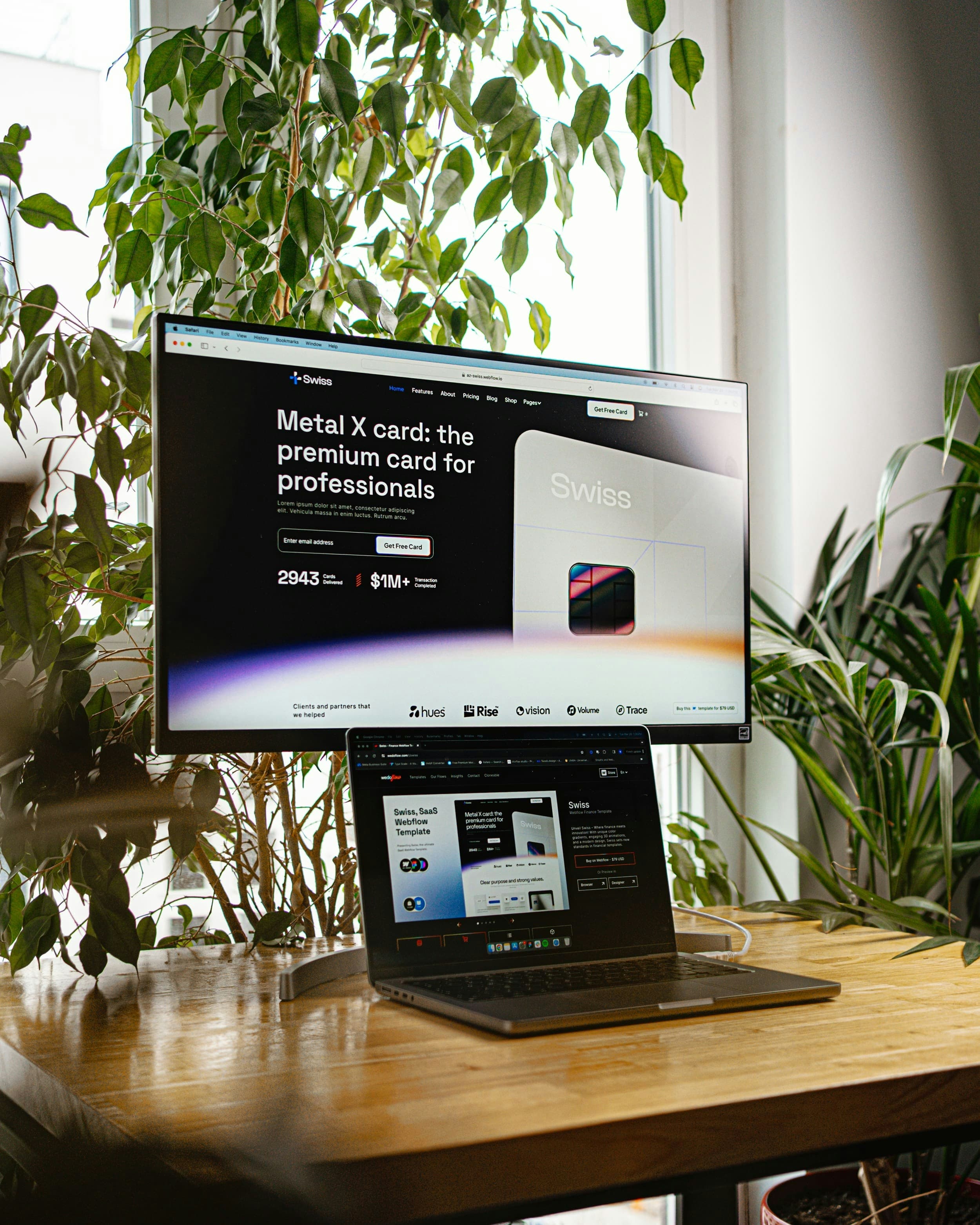 Website Design & Development
